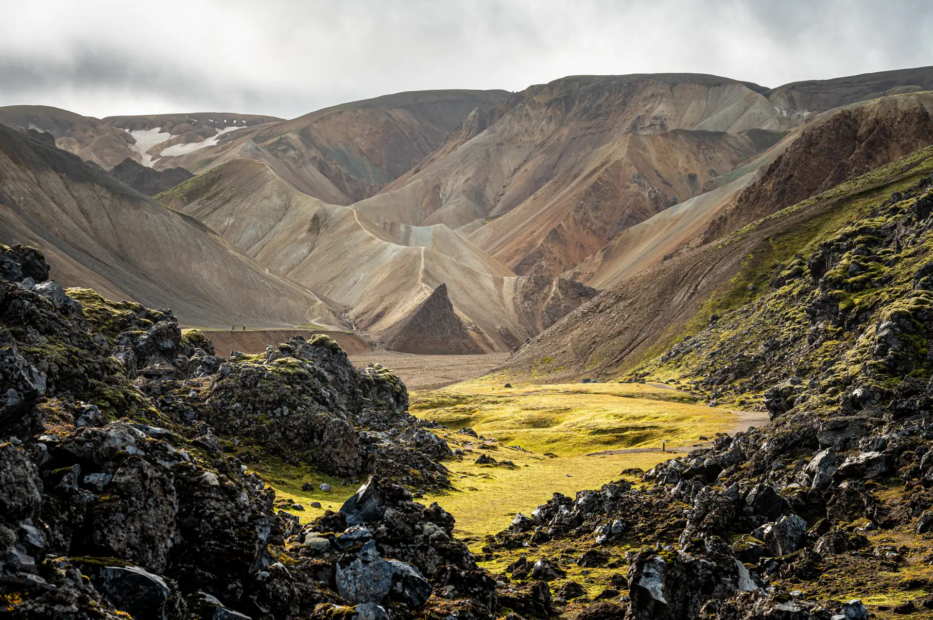 8.9.2023, 11:50 ⋅ Nikon Z6 II + NIKKOR 24-120mm f/4 S @ 68mm, ISO 100, 1/125, f/8.0